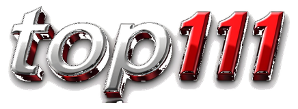 top111 login logo